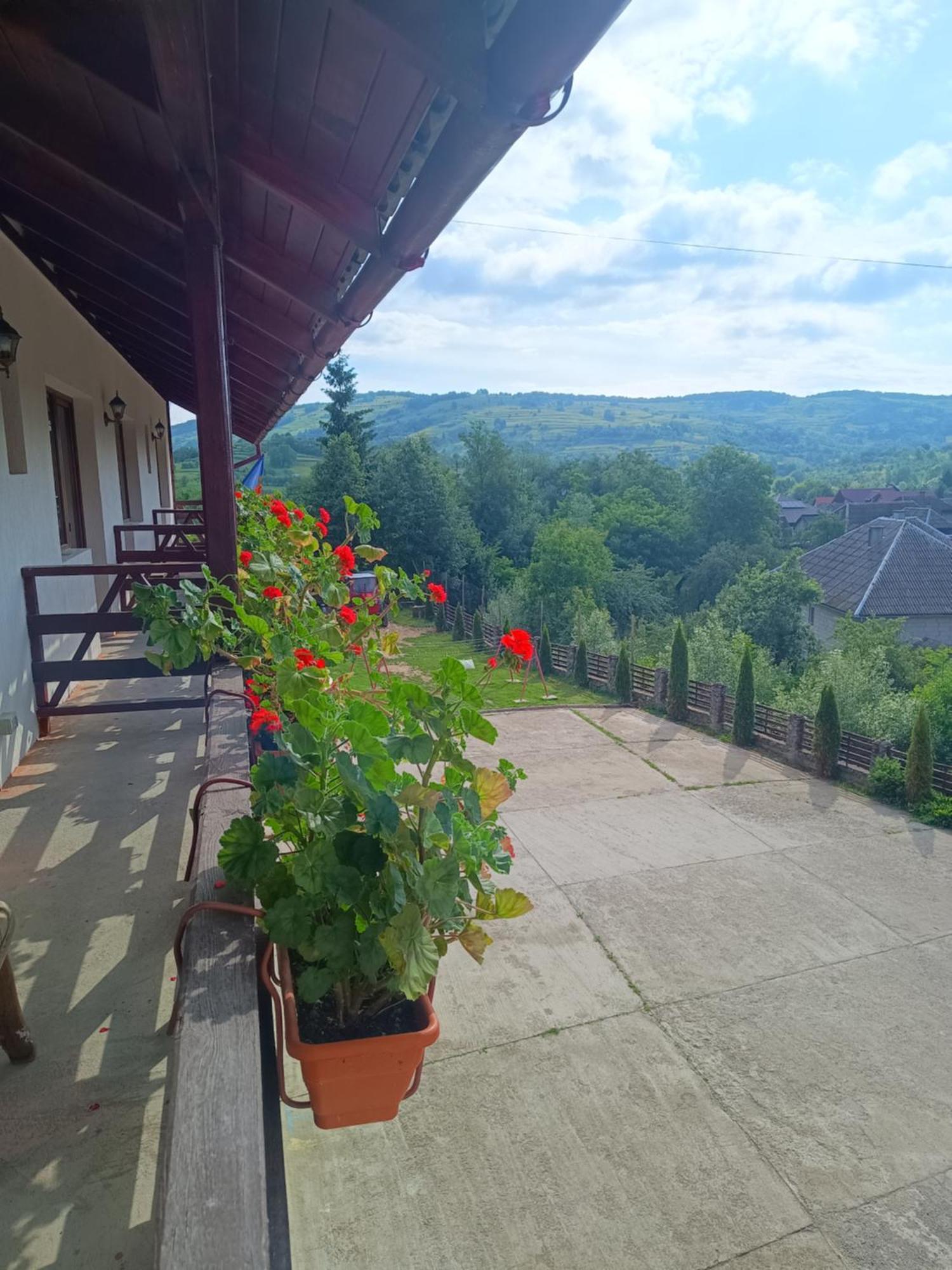 Pensiunea In Poiana Glod  Экстерьер фото